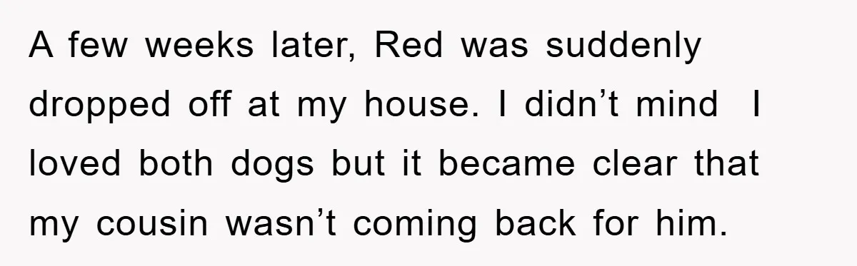 A few weeks later, Red was suddenly dropped off at my house. I didn’t mind I loved both dogs but it became clear that my cousin wasn’t coming back for...