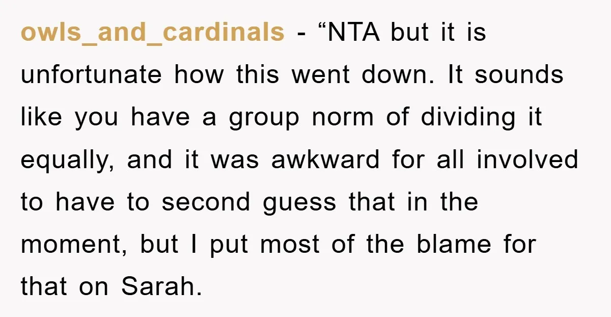 owls_and_cardinals - “NTA but it is unfortunate how this went down. It sounds like you have a group norm of dividing it equally, and it was awkward for all involved...