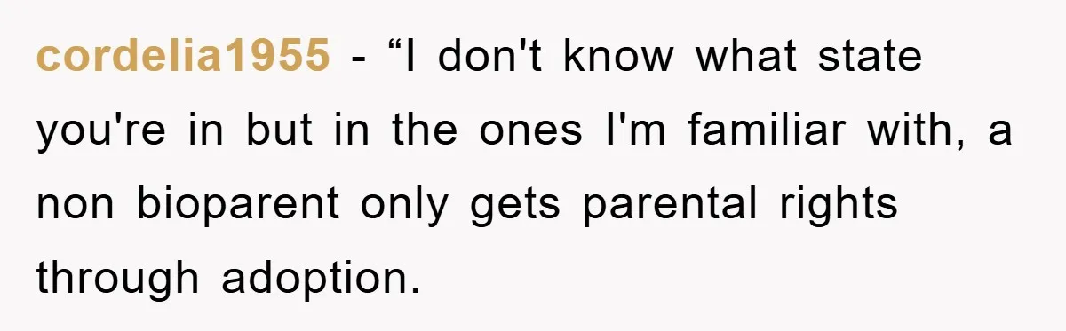 cordelia1955 - “I don't know what state you're in but in the ones I'm familiar with, a non bioparent only gets parental rights through adoption.
