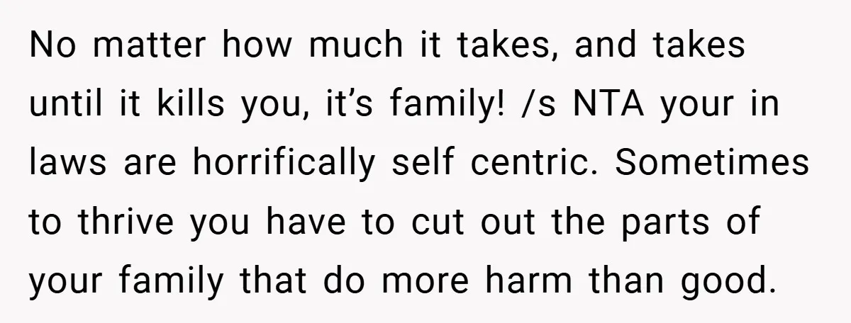 No matter how much it takes, and takes until it kills you, it’s family! /s NTA your in laws are horrifically self centric. Sometimes to thrive you have to cut...