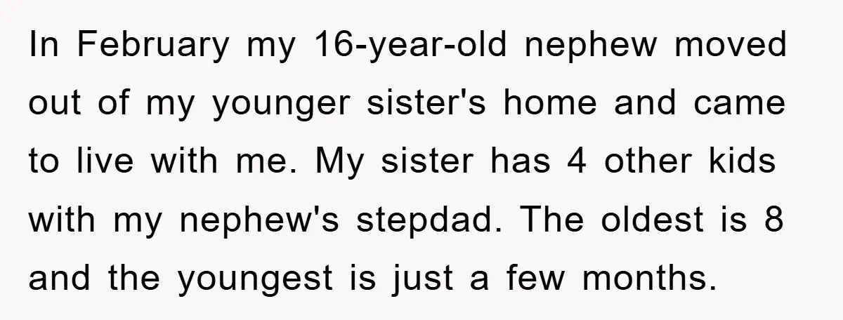 In February my 16-year-old nephew moved out of my younger sister's home and came to live with me. My sister has 4 other kids with my nephew's stepdad. The oldest...