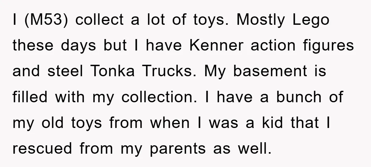 I (M53) collect a lot of toys. Mostly Lego these days but I have Kenner action figures and steel Tonka Trucks. My basement is filled with my collection. I have...