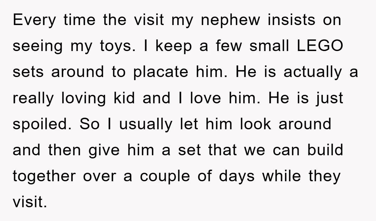 Every time the visit my nephew insists on seeing my toys. I keep a few small LEGO sets around to placate him. He is actually a really loving kid and...
