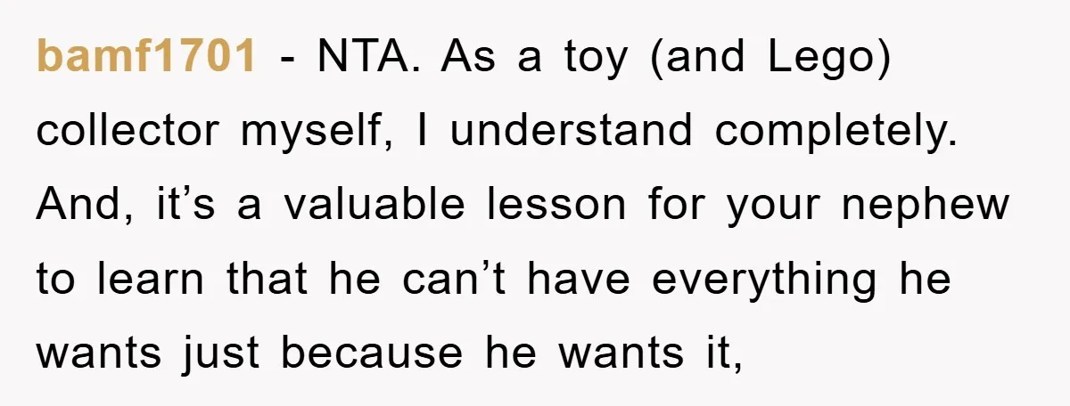 bamf1701 − NTA. As a toy (and Lego) collector myself, I understand completely. And, it’s a valuable lesson for your nephew to learn that he can’t have everything he wants...