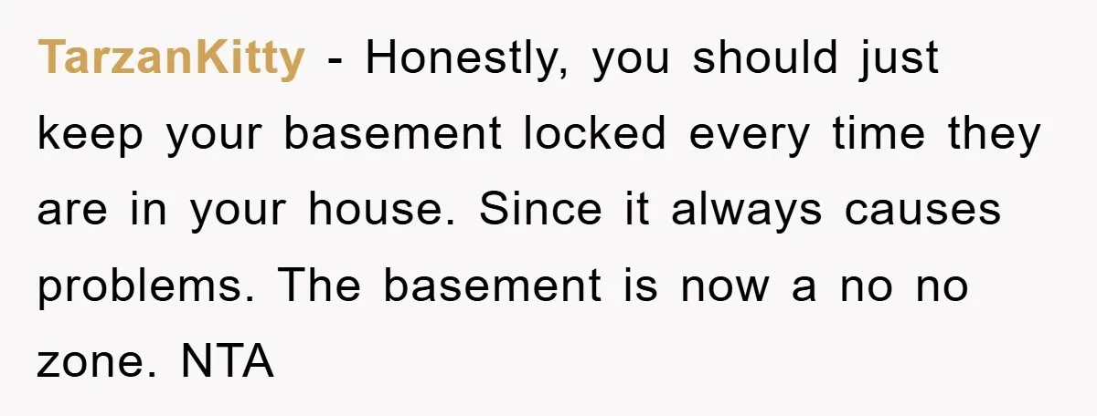 TarzanKitty − Honestly, you should just keep your basement locked every time they are in your house. Since it always causes problems. The basement is now a no no zone....