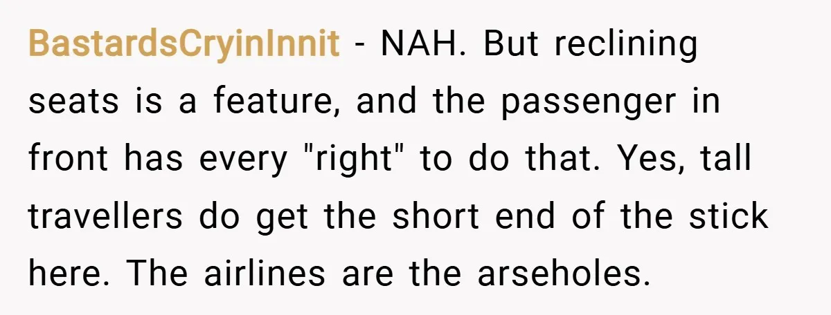 BastardsCryinInnit − NAH. But reclining seats is a feature, and the passenger in front has every "right" to do that. Yes, tall travellers do get the short end of the...