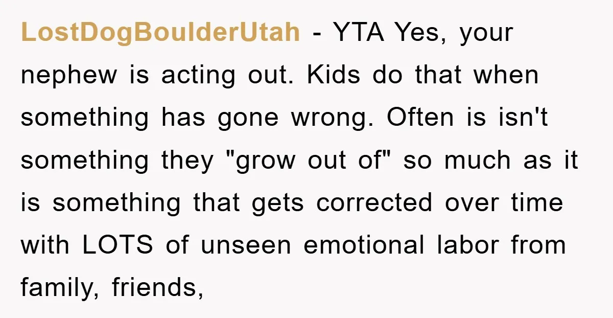 LostDogBoulderUtah − YTA Yes, your nephew is acting out. Kids do that when something has gone wrong. Often is isn't something they "grow out of" so much as it is...