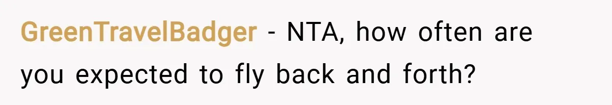 GreenTravelBadger − NTA, how often are you expected to fly back and forth?