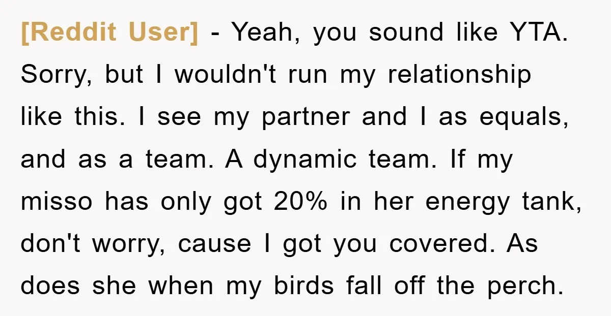 [Reddit User] − Yeah, you sound like YTA. Sorry, but I wouldn't run my relationship like this. I see my partner and I as equals, and as a team. A...