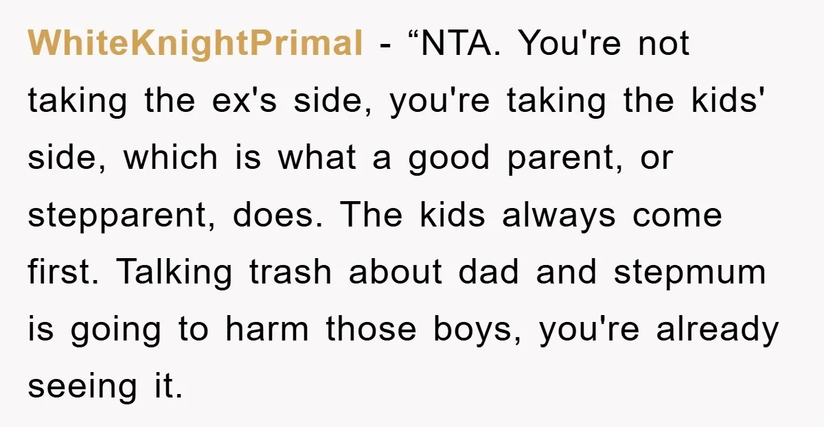 WhiteKnightPrimal - “NTA. You're not taking the ex's side, you're taking the kids' side, which is what a good parent, or stepparent, does. The kids always come first. Talking trash...