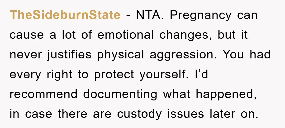 TheSideburnState - NTA. Pregnancy can cause a lot of emotional changes, but it never justifies physical aggression. You had every right to protect yourself. I’d recommend documenting what happened, in...