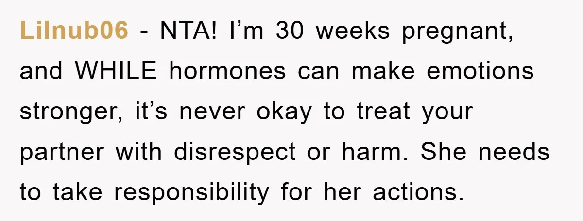 Lilnub06 - NTA! I’m 30 weeks pregnant, and WHILE hormones can make emotions stronger, it’s never okay to treat your partner with disrespect or harm. She needs to take responsibility...