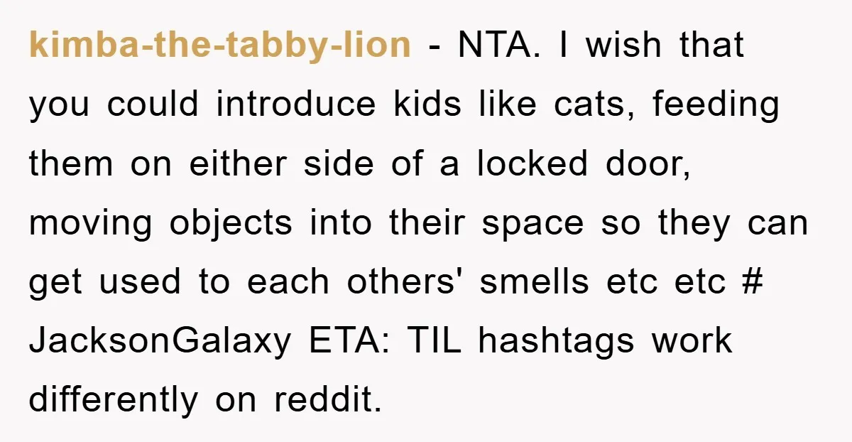 kimba-the-tabby-lion − NTA. I wish that you could introduce kids like cats, feeding them on either side of a locked door, moving objects into their space so they can get...