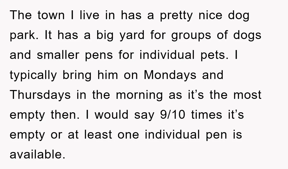 The town I live in has a pretty nice dog park. It has a big yard for groups of dogs and smaller pens for individual pets. I typically bring him...