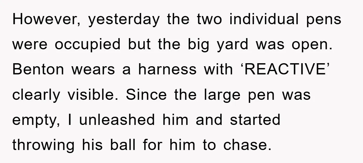However, yesterday the two individual pens were occupied but the big yard was open. Benton wears a harness with ‘REACTIVE’ clearly visible. Since the large pen was empty, I unleashed...