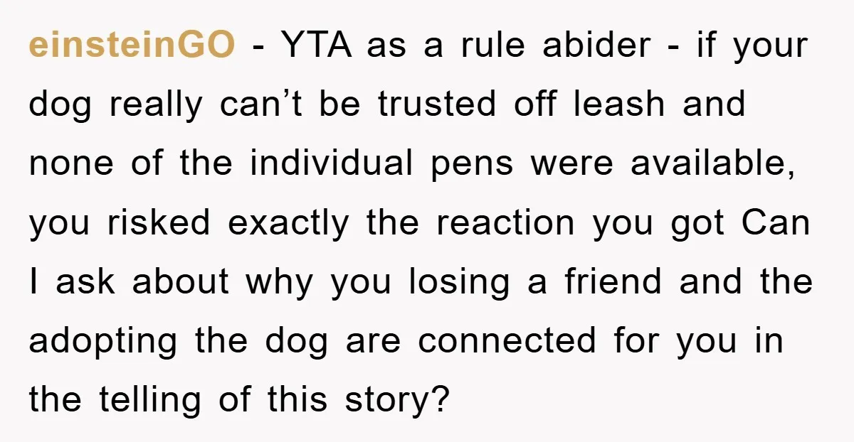 einsteinGO − YTA as a rule abider - if your dog really can’t be trusted off leash and none of the individual pens were available, you risked exactly the reaction...