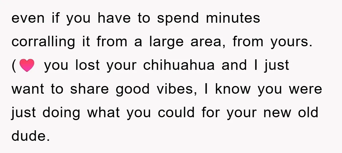 even if you have to spend minutes corralling it from a large area, from yours. (♥️ you lost your chihuahua and I just want to share good vibes, I know...