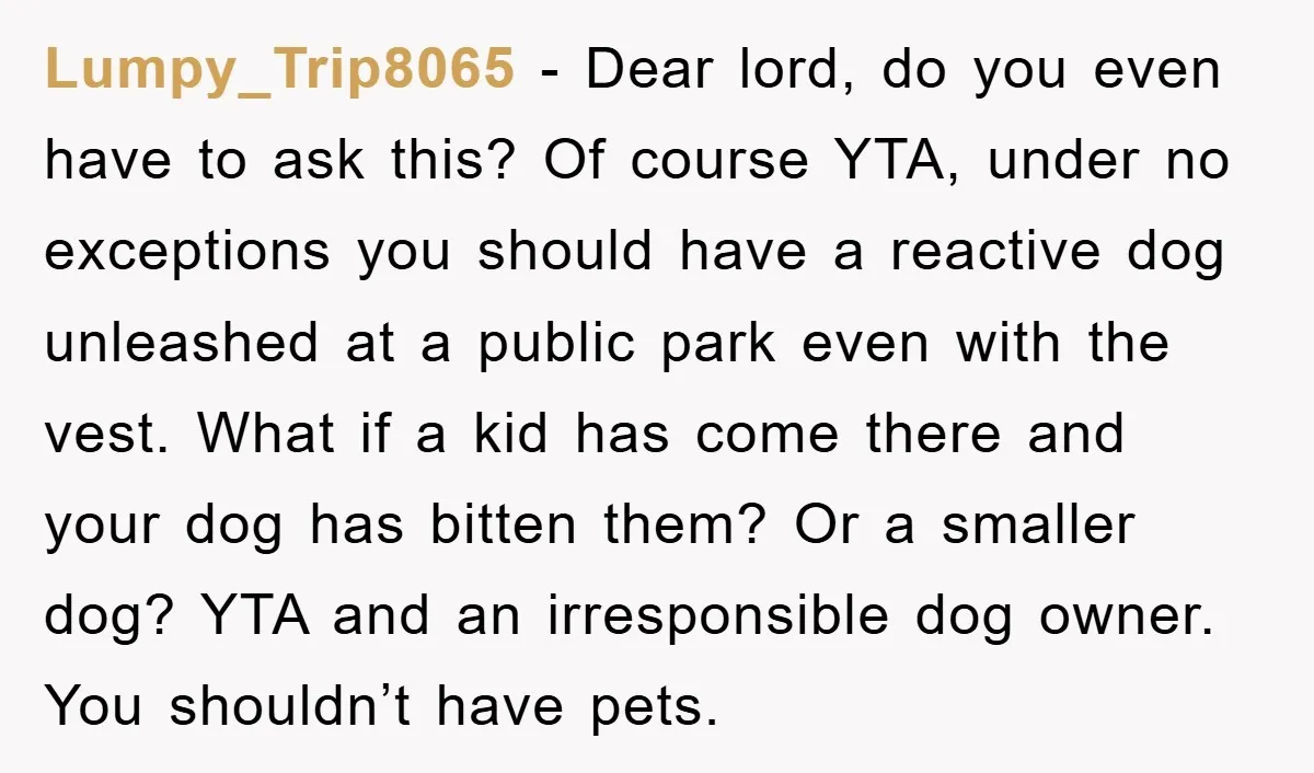 Lumpy_Trip8065 − Dear lord, do you even have to ask this? Of course YTA, under no exceptions you should have a reactive dog unleashed at a public park even with...