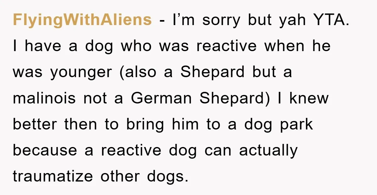 FlyingWithAliens − I’m sorry but yah YTA. I have a dog who was reactive when he was younger (also a Shepard but a malinois not a German Shepard) I knew...