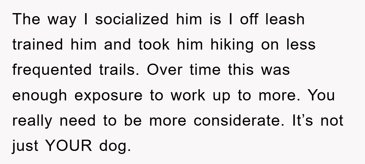 The way I socialized him is I off leash trained him and took him hiking on less frequented trails. Over time this was enough exposure to work up to more....