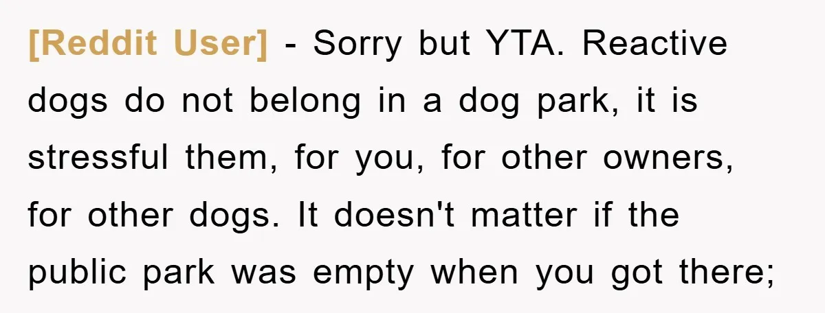 [Reddit User] − Sorry but YTA. Reactive dogs do not belong in a dog park, it is stressful them, for you, for other owners, for other dogs. It doesn't matter...