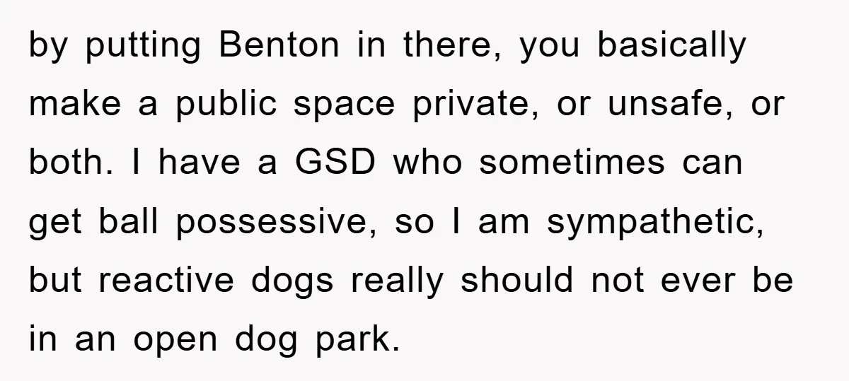 by putting Benton in there, you basically make a public space private, or unsafe, or both. I have a GSD who sometimes can get ball possessive, so I am sympathetic,...