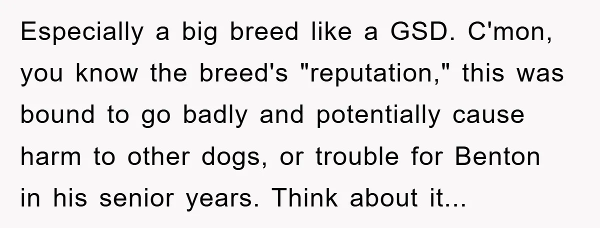 Especially a big breed like a GSD. C'mon, you know the breed's "reputation," this was bound to go badly and potentially cause harm to other dogs, or trouble for Benton...