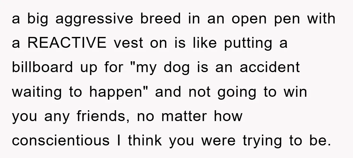 a big aggressive breed in an open pen with a REACTIVE vest on is like putting a billboard up for "my dog is an accident waiting to happen" and not...