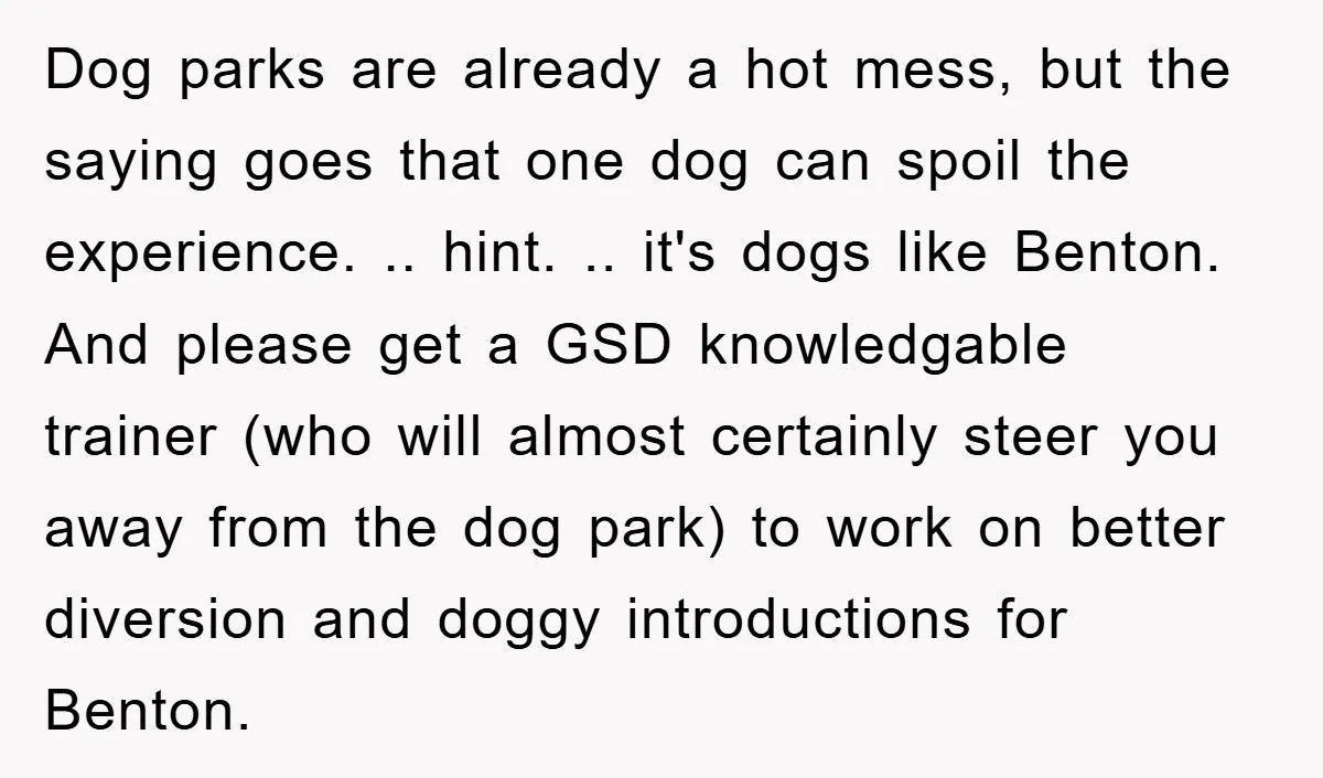 Dog parks are already a hot mess, but the saying goes that one dog can spoil the experience. .. hint. .. it's dogs like Benton. And please get a GSD...