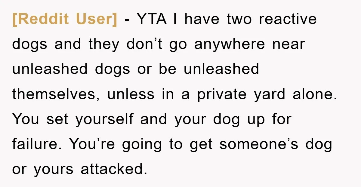 [Reddit User] − YTA I have two reactive dogs and they don’t go anywhere near unleashed dogs or be unleashed themselves, unless in a private yard alone. You set yourself...