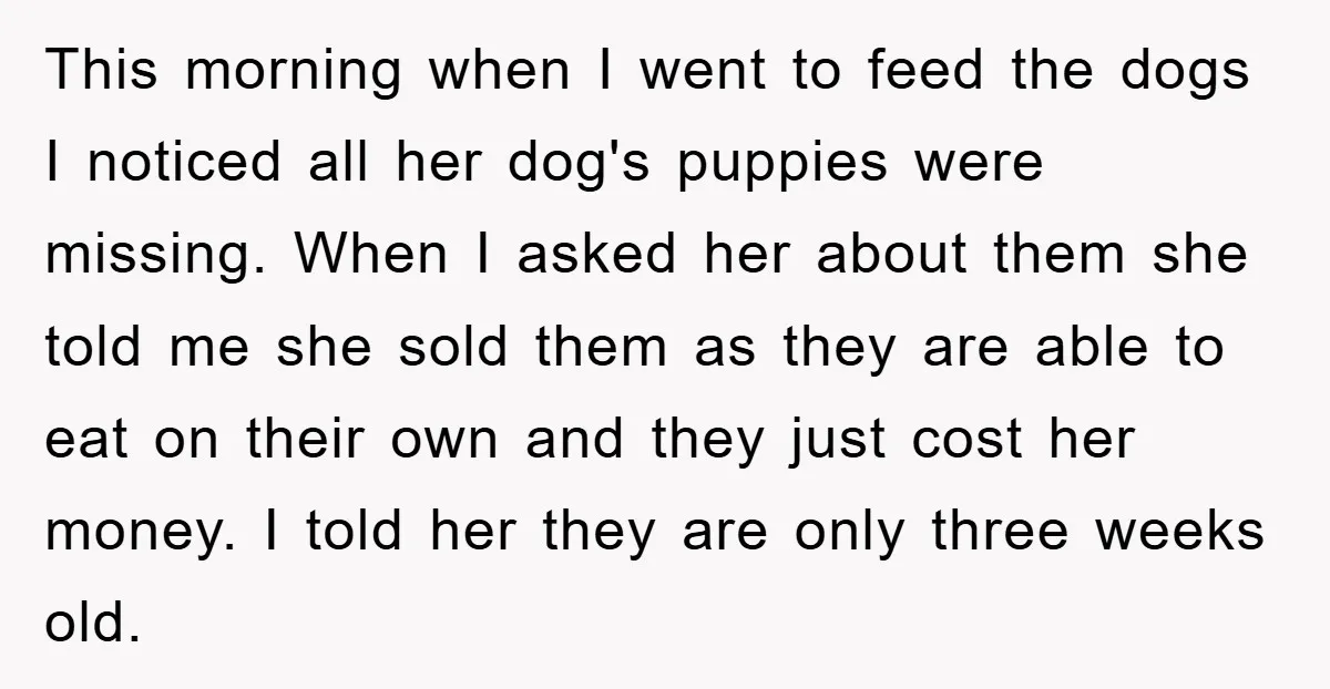 This morning when I went to feed the dogs I noticed all her dog's puppies were missing. When I asked her about them she told me she sold them as...