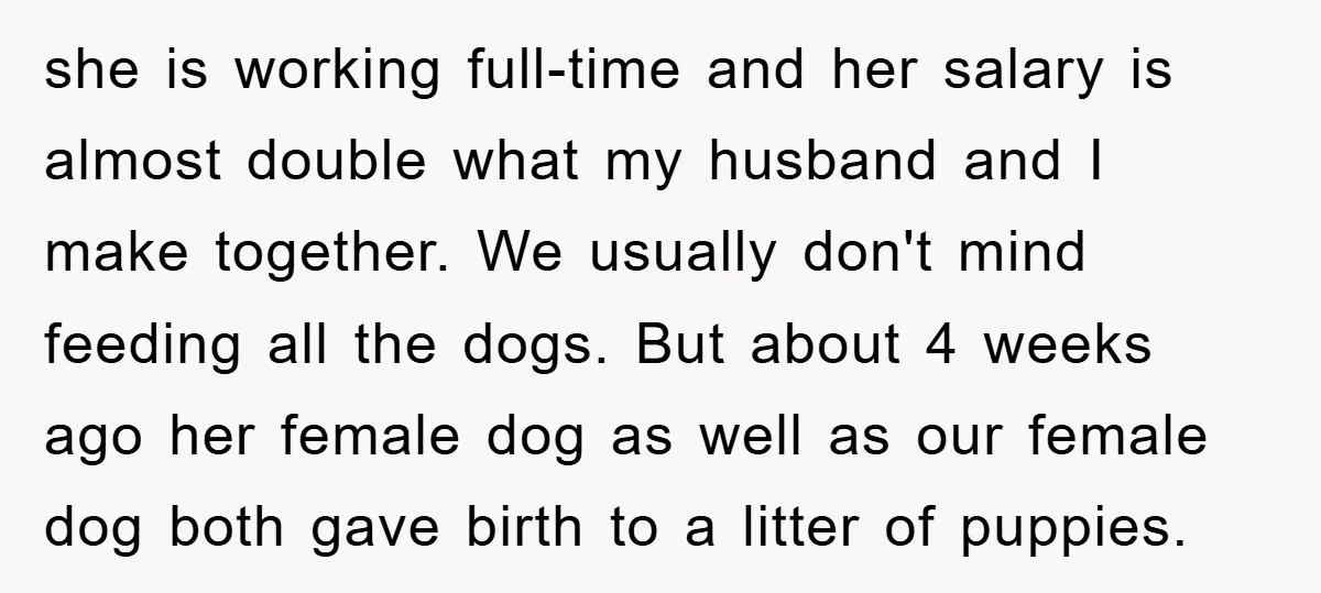 she is working full-time and her salary is almost double what my husband and I make together. We usually don't mind feeding all the dogs. But about 4 weeks ago...