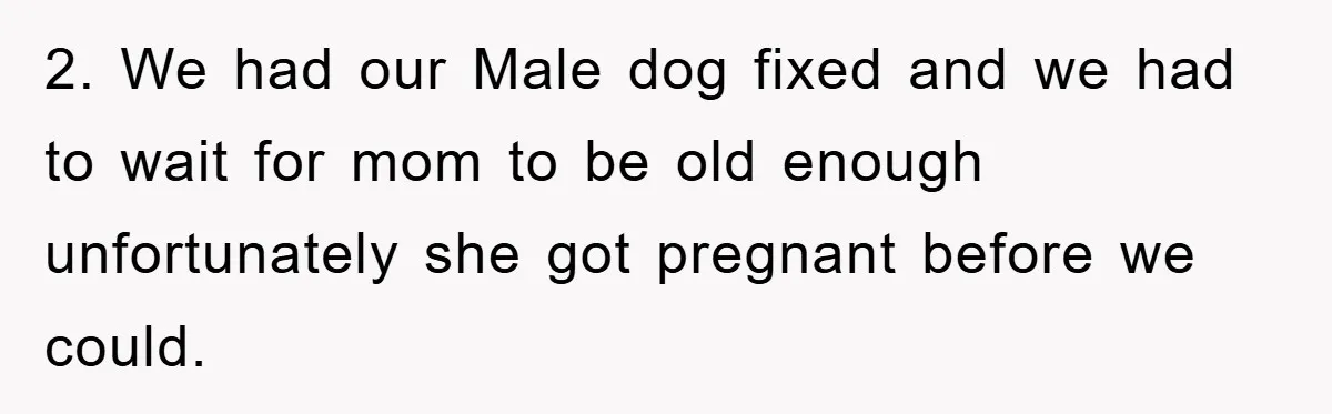 2. We had our Male dog fixed and we had to wait for mom to be old enough unfortunately she got pregnant before we could.