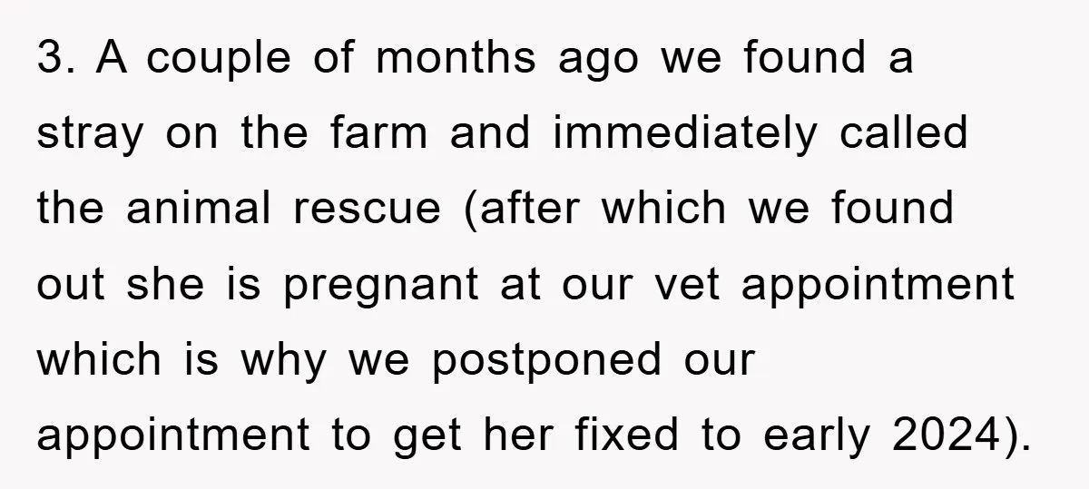3. A couple of months ago we found a stray on the farm and immediately called the animal rescue (after which we found out she is pregnant at our vet...