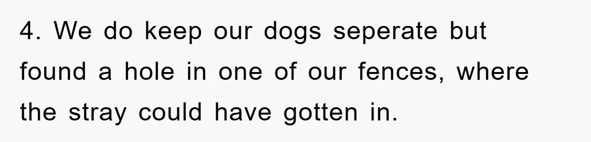 4. We do keep our dogs seperate but found a hole in one of our fences, where the stray could have gotten in.