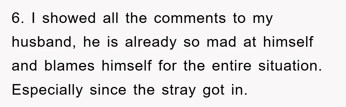 6. I showed all the comments to my husband, he is already so mad at himself and blames himself for the entire situation. Especially since the stray got in.