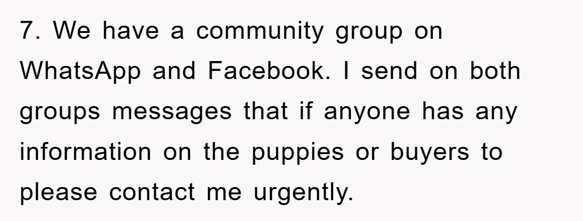 7. We have a community group on WhatsApp and Facebook. I send on both groups messages that if anyone has any information on the puppies or buyers to please contact...