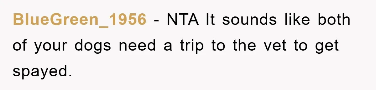 BlueGreen_1956 − NTA It sounds like both of your dogs need a trip to the vet to get spayed.