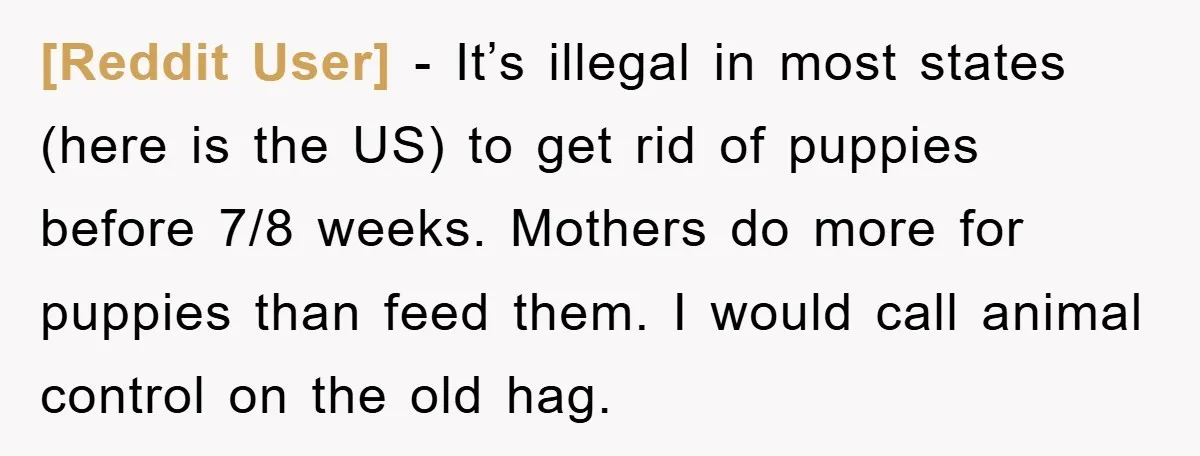 [Reddit User] − It’s illegal in most states (here is the US) to get rid of puppies before 7/8 weeks. Mothers do more for puppies than feed them. I would...