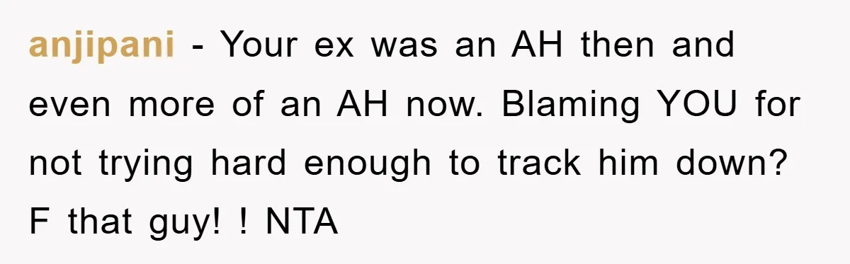 anjipani − Your ex was an AH then and even more of an AH now. Blaming YOU for not trying hard enough to track him down? F that guy! !...