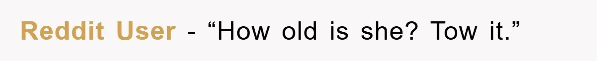 Reddit User - “How old is she? Tow it.”