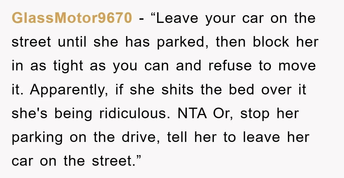 GlassMotor9670 - “Leave your car on the street until she has parked, then block her in as tight as you can and refuse to move it. Apparently, if she shits...