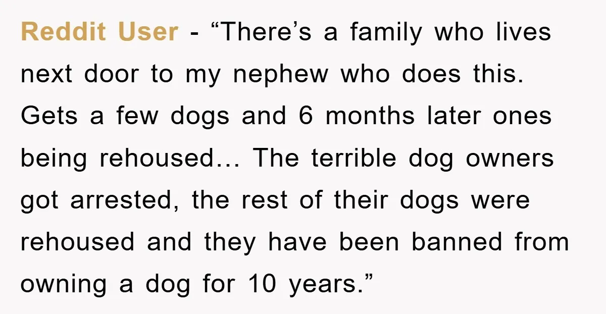 Reddit User - “There’s a family who lives next door to my nephew who does this. Gets a few dogs and 6 months later ones being rehoused… The terrible dog...