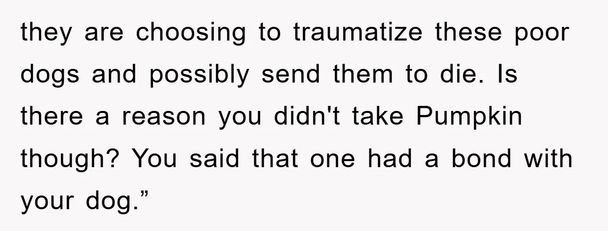 they are choosing to traumatize these poor dogs and possibly send them to die. Is there a reason you didn't take Pumpkin though? You said that one had a bond...