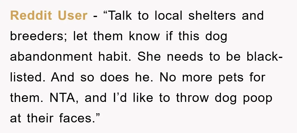 Reddit User - “Talk to local shelters and breeders; let them know if this dog abandonment habit. She needs to be black-listed. And so does he. No more pets for...