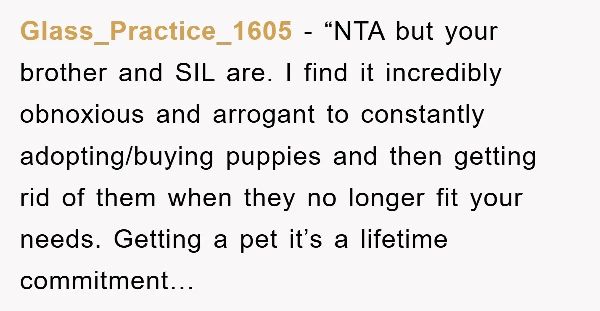 Glass_Practice_1605 - “NTA but your brother and SIL are. I find it incredibly obnoxious and arrogant to constantly adopting/buying puppies and then getting rid of them when they no longer...