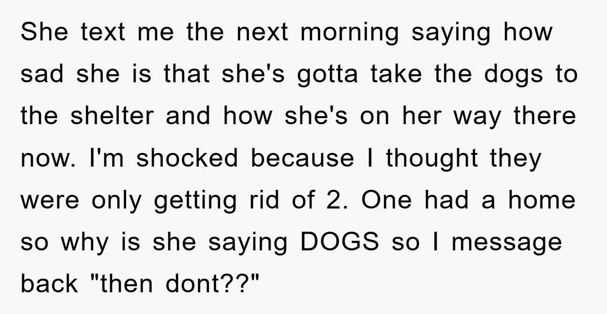 She text me the next morning saying how sad she is that she's gotta take the dogs to the shelter and how she's on her way there now. I'm shocked...