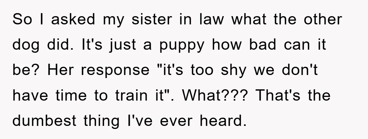 So I asked my sister in law what the other dog did. It's just a puppy how bad can it be? Her response "it's too shy we don't have time...