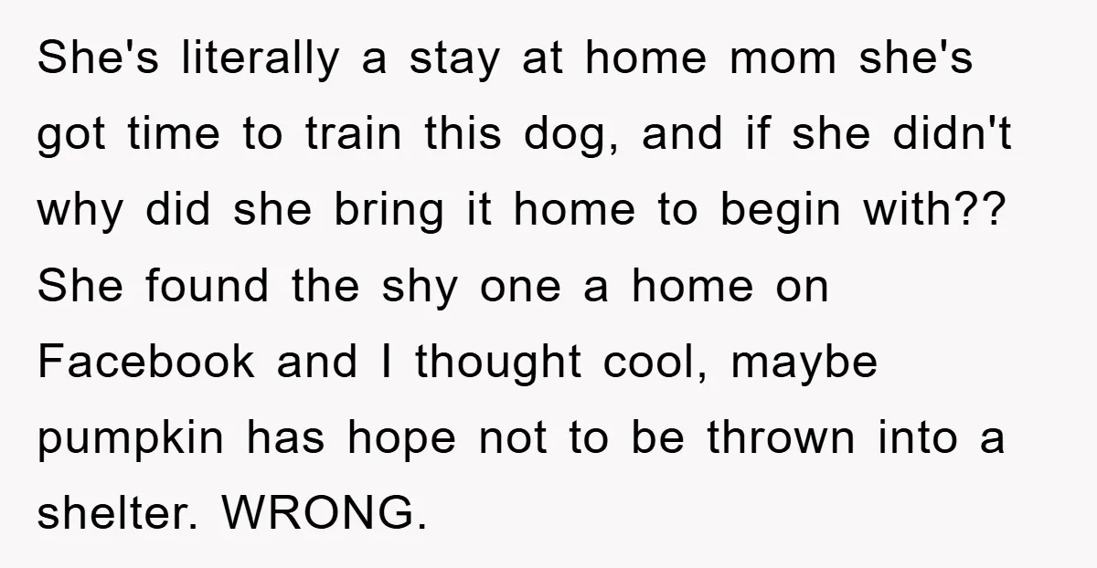 She's literally a stay at home mom she's got time to train this dog, and if she didn't why did she bring it home to begin with?? She found the...
