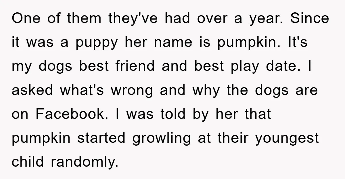 One of them they've had over a year. Since it was a puppy her name is pumpkin. It's my dogs best friend and best play date. I asked what's wrong...